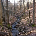 Buck Creek Trail - 2.jpg